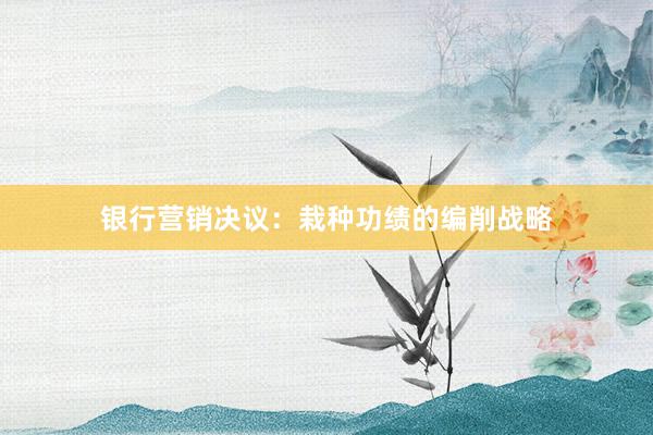 银行营销决议：栽种功绩的编削战略